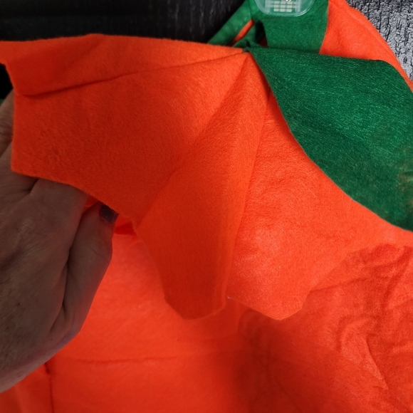 HALLOWEEN Pumpkin and Pumpkin Eater Costume - Picture 4 of 5